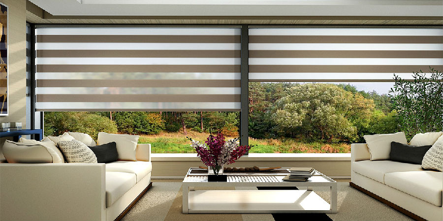 Zebra blinds picture