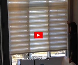 zebra shade